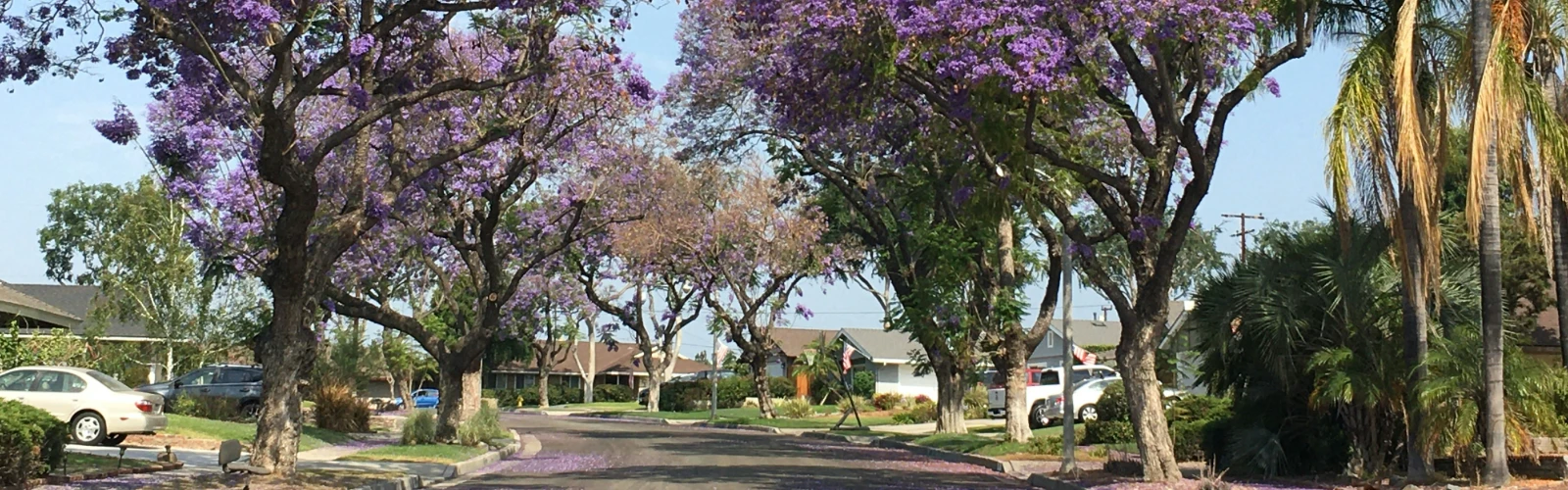 Fullerton Attractions
